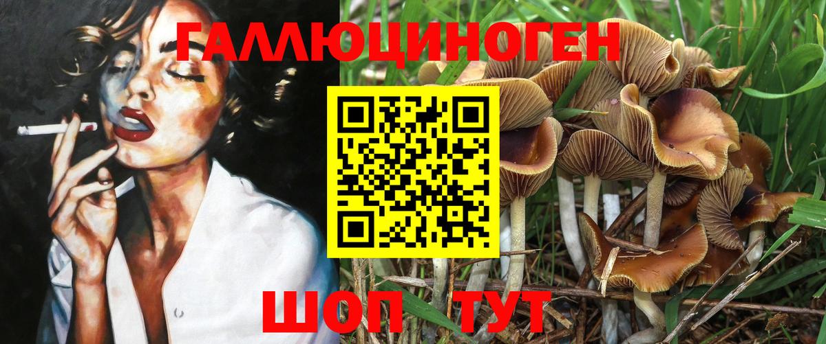 Псилоцибиновые грибы MAGIC MUSHROOMS  Вход с VPN  Пугачёв  Галлюциногенные грибы Psilocybine cubensis 